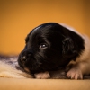 © all rights reserved - Photo by Lisanne Bakker