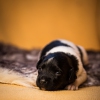 © all rights reserved - Photo by Lisanne Bakker