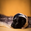 © all rights reserved - Photo by Lisanne Bakker