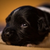 © all rights reserved - Photo by Lisanne Bakker