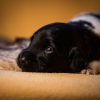 © all rights reserved - Photo by Lisanne Bakker