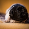 © all rights reserved - Photo by Lisanne Bakker