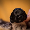 © all rights reserved - Photo by Lisanne Bakker