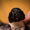 © all rights reserved - Photo by Lisanne Bakker