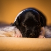 © all rights reserved - Photo by Lisanne Bakker