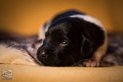 © all rights reserved - Photo by Lisanne Bakker