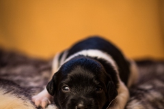 © all rights reserved - Photo by Lisanne Bakker