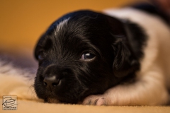 © all rights reserved - Photo by Lisanne Bakker