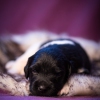 © all rights reserved - Photo by Lisanne Bakker