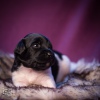 © all rights reserved - Photo by Lisanne Bakker