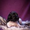 © all rights reserved - Photo by Lisanne Bakker