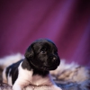 © all rights reserved - Photo by Lisanne Bakker
