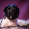 © all rights reserved - Photo by Lisanne Bakker