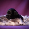 © all rights reserved - Photo by Lisanne Bakker