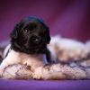 © all rights reserved - Photo by Lisanne Bakker