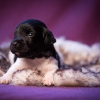 © all rights reserved - Photo by Lisanne Bakker