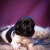 © all rights reserved - Photo by Lisanne Bakker