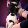 © all rights reserved - Photo by Lisanne Bakker