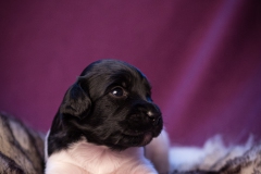 © all rights reserved - Photo by Lisanne Bakker