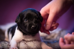 © all rights reserved - Photo by Lisanne Bakker