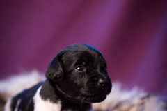 © all rights reserved - Photo by Lisanne Bakker