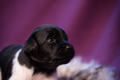 © all rights reserved - Photo by Lisanne Bakker