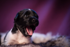 © all rights reserved - Photo by Lisanne Bakker