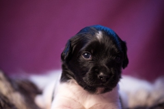 © all rights reserved - Photo by Lisanne Bakker