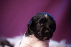 © all rights reserved - Photo by Lisanne Bakker