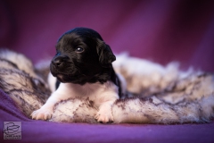 © all rights reserved - Photo by Lisanne Bakker