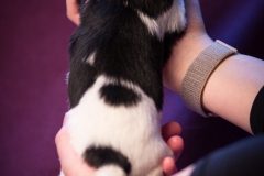 © all rights reserved - Photo by Lisanne Bakker