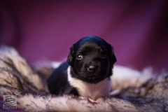 © all rights reserved - Photo by Lisanne Bakker