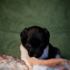 © all rights reserved - Photo by Lisanne Bakker