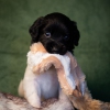 © all rights reserved - Photo by Lisanne Bakker
