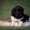© all rights reserved - Photo by Lisanne Bakker