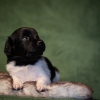 © all rights reserved - Photo by Lisanne Bakker