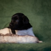 © all rights reserved - Photo by Lisanne Bakker