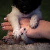 © all rights reserved - Photo by Lisanne Bakker