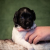 © all rights reserved - Photo by Lisanne Bakker