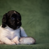 © all rights reserved - Photo by Lisanne Bakker