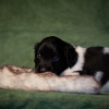 © all rights reserved - Photo by Lisanne Bakker