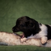 © all rights reserved - Photo by Lisanne Bakker