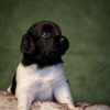 © all rights reserved - Photo by Lisanne Bakker