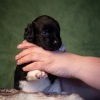 © all rights reserved - Photo by Lisanne Bakker
