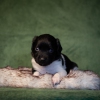 © all rights reserved - Photo by Lisanne Bakker