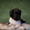 © all rights reserved - Photo by Lisanne Bakker