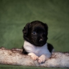 © all rights reserved - Photo by Lisanne Bakker
