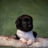 © all rights reserved - Photo by Lisanne Bakker