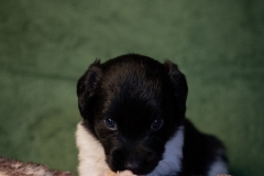 © all rights reserved - Photo by Lisanne Bakker