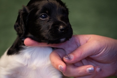 © all rights reserved - Photo by Lisanne Bakker